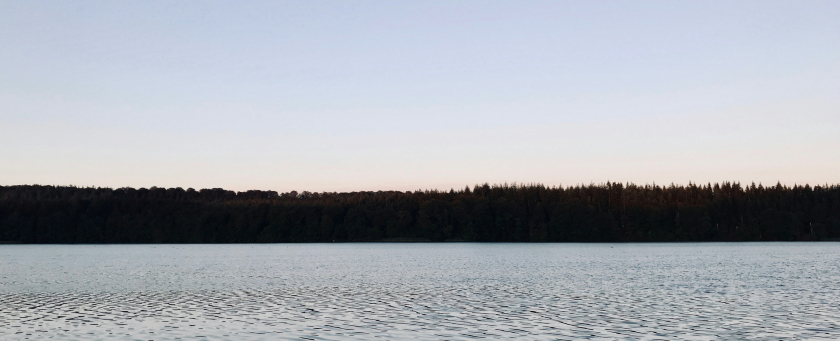 Calm lake near field of trees