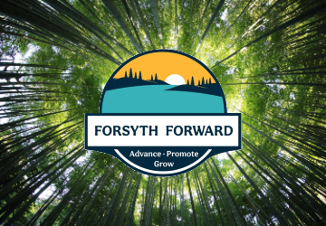 Forsyth Forward logo set in tree canopy