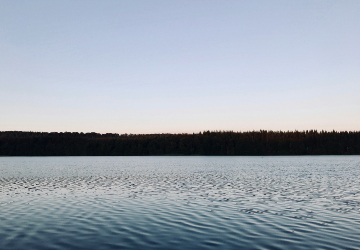 calm lake near field of trees